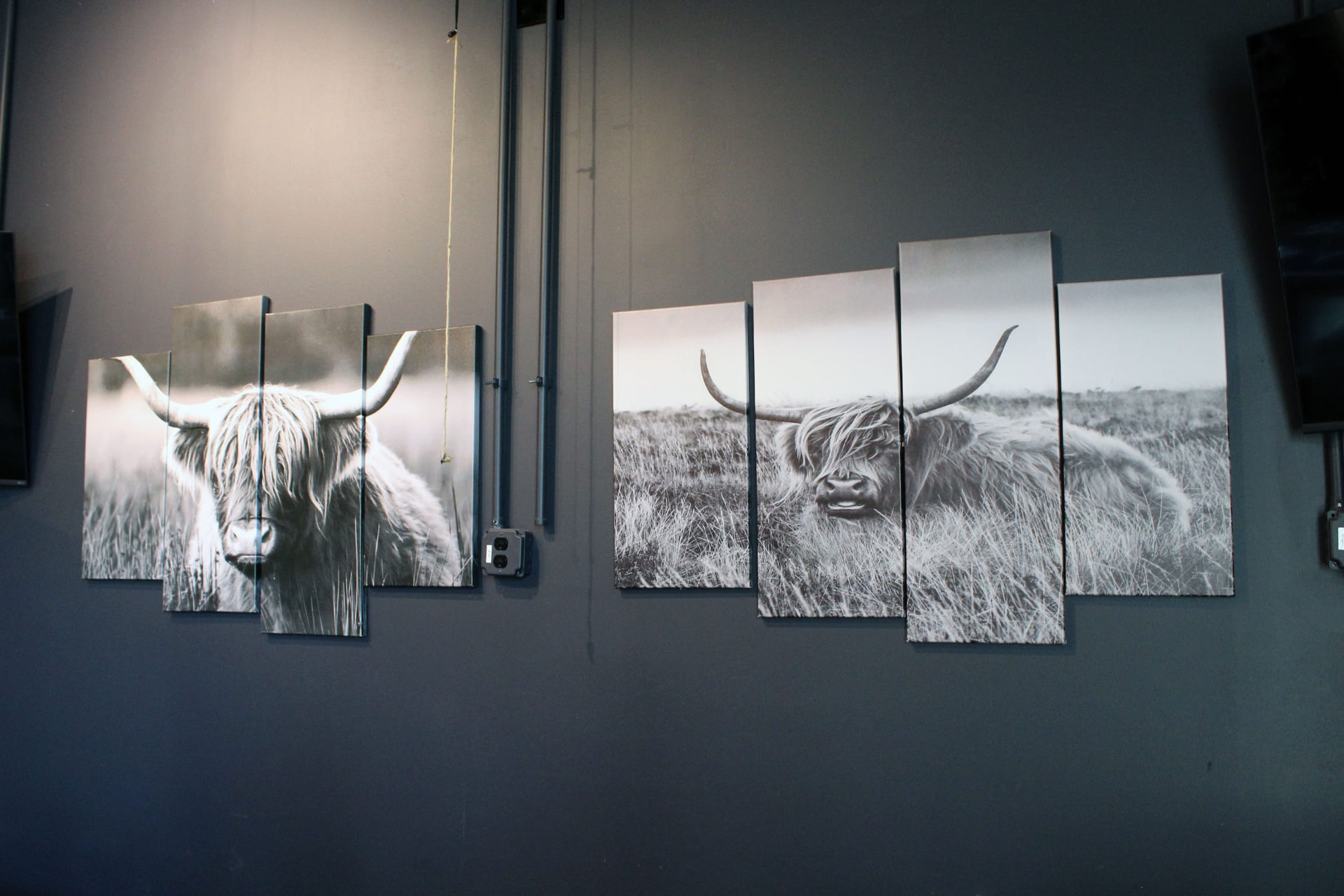 Highland cow multi-panel artwork mounted on a dark wall
